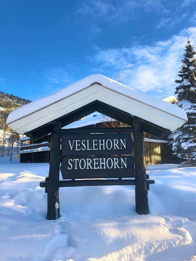 Storehorn Apartments Hemsedal Exterior photo